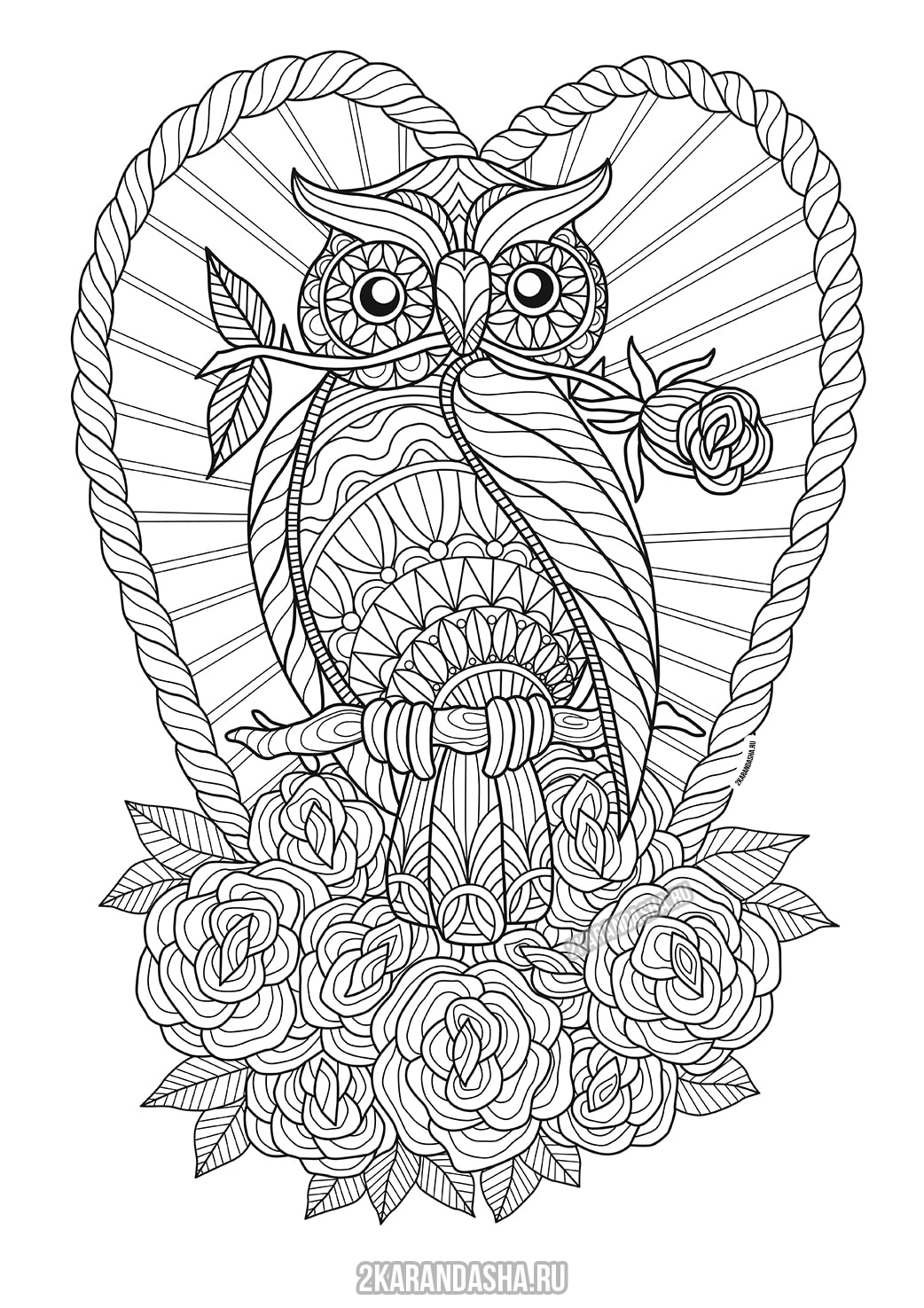 Раскраска антистресс сова в цветах распечатать