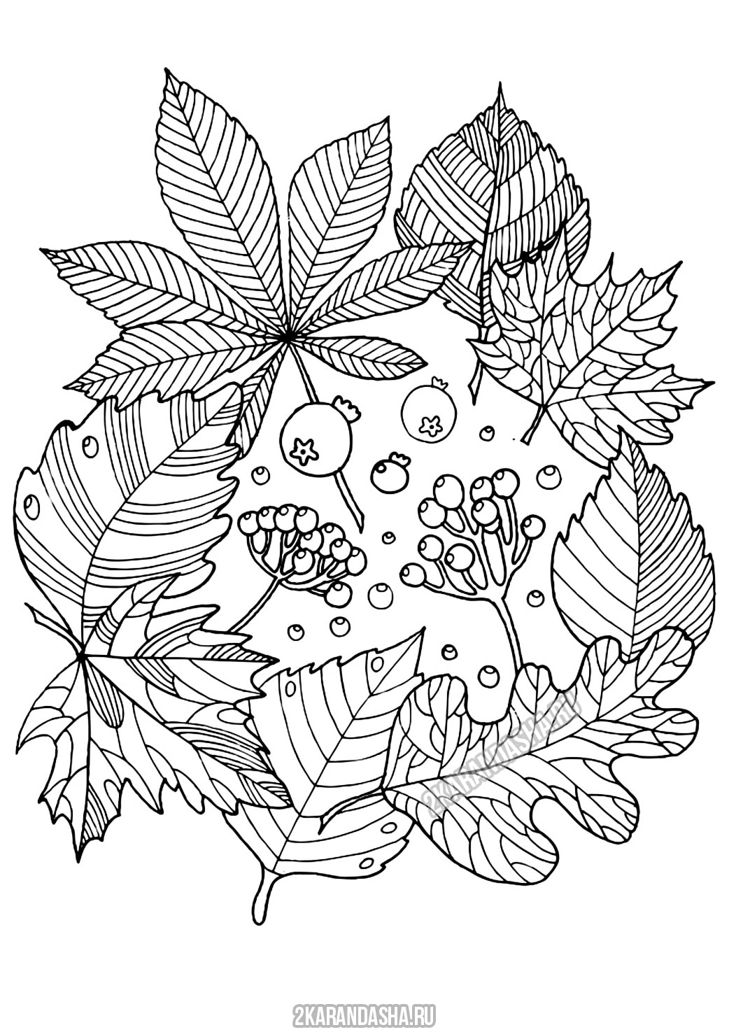 Раскраска осенний букет, на тему осень для детей распечатать формат А4