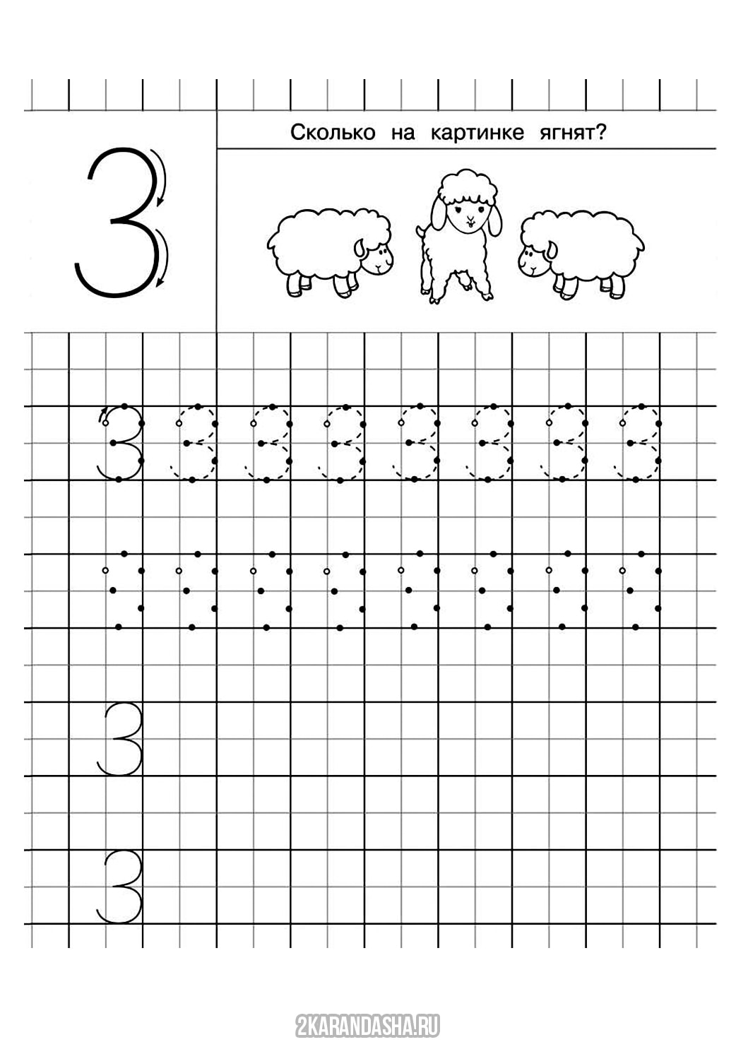 3 3 3 3