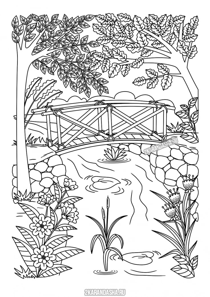 Распечатать раскраску красивый мост в лесу на А4