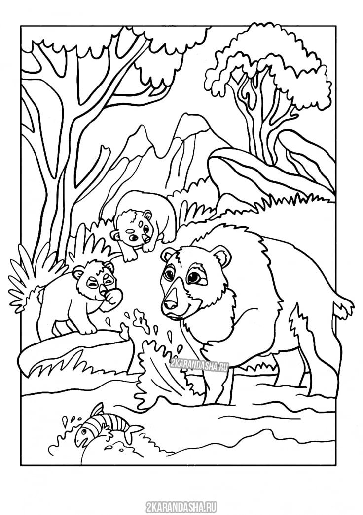 Распечатать раскраску медведи в лесу на А4