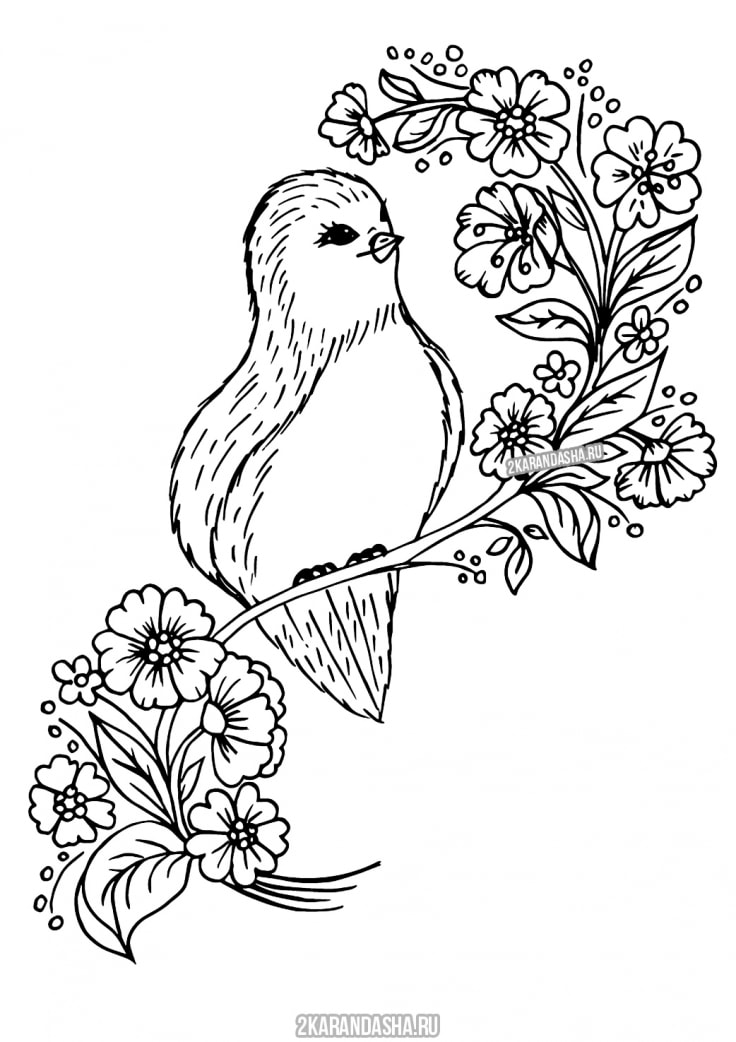 Раскраска птичка в весенней листве распечатать