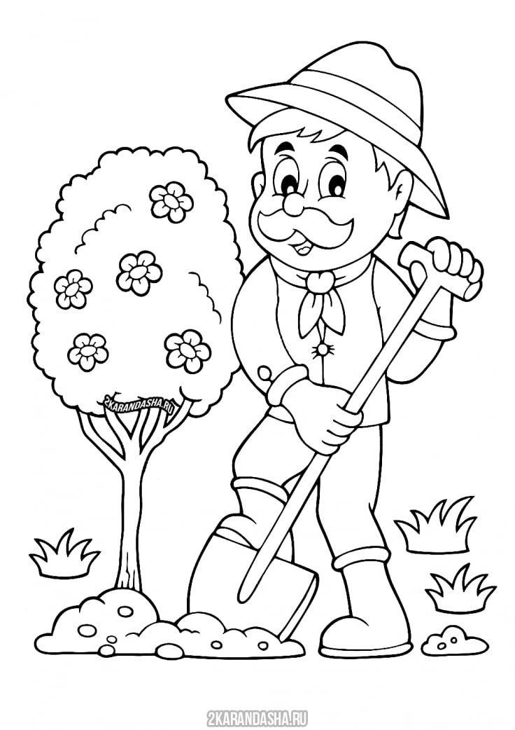 Распечатать раскраску садовод сажает дерево на А4