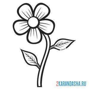 Раскраска цветочек ромашка простой рисунок онлайн