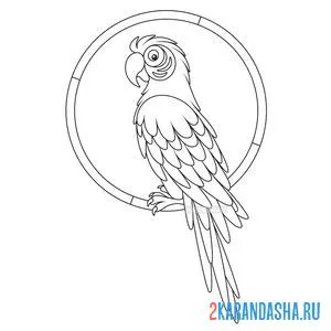 Раскраска большой попугай онлайн