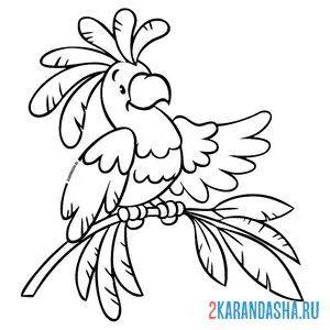 Раскраска попугай на ветке онлайн