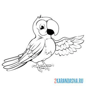 Раскраска красивый попугай онлайн