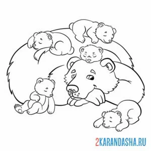 Распечатать раскраску мама медведь и медвежата на А4