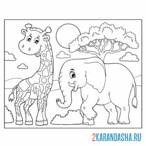 Распечатать раскраску слон и жираф на А4