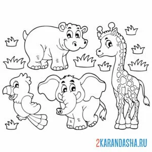 Распечатать раскраску попугай, бегемот, слон и жираф на А4