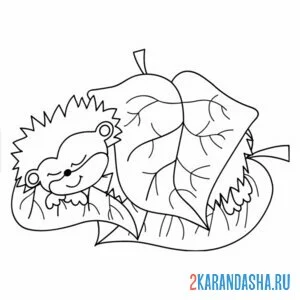 Раскраска ежик спит под листьями онлайн