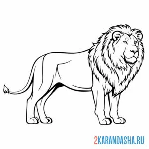 Распечатать раскраску лев царь зверей на А4