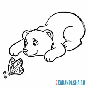 Раскраска милый медведь играет с бабочкой онлайн