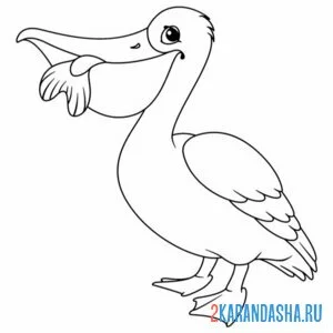 Раскраска легкая раскраска пеликан птица онлайн