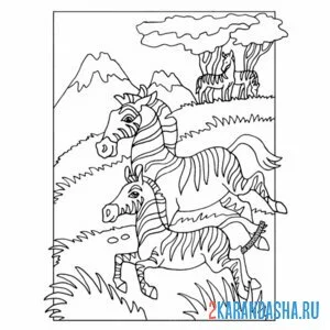 Раскраска две зебры на прогулке онлайн