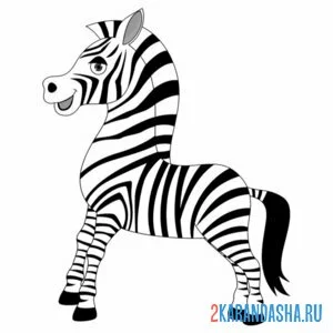 Раскраска зебра в полный рост онлайн