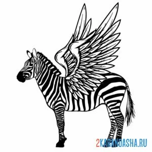 Раскраска зебра-пегас онлайн