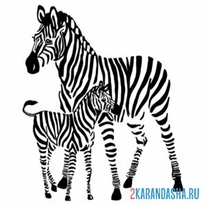 Раскраска мама зебра и жеребенок онлайн