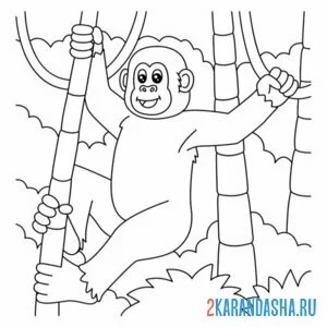Распечатать раскраску обезьяна в лесу на А4