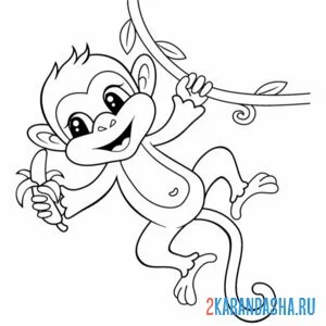 Распечатать раскраску обезьяна на лиане на А4