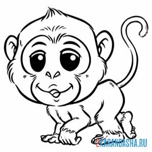 Распечатать раскраску небольшая обезьяна на А4