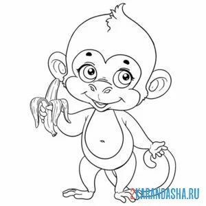 Распечатать раскраску обезьянка с одним бананом на А4
