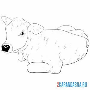 Раскраска корова лежит онлайн