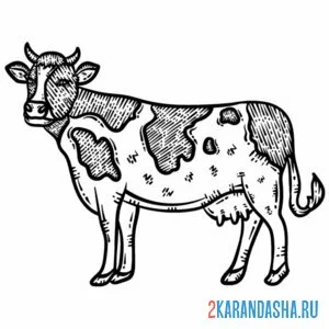 Распечатать раскраску корова арт на А4