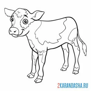 Раскраска теленок пятнистый онлайн