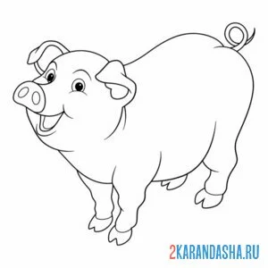 Раскраска толстенькая свинья онлайн
