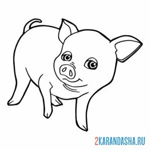 Раскраска свинья хрю онлайн