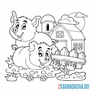 Распечатать раскраску свиньи на ферме на А4