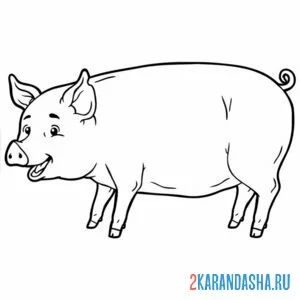 Раскраска большая свинья онлайн