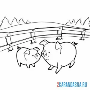 Раскраска свиньи на выгуле онлайн