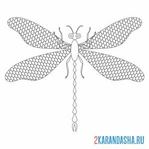 Раскраска стрекоза крылья в сеточку онлайн