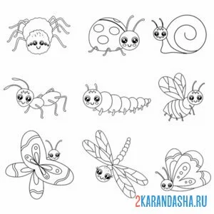 Раскраска насекомые онлайн