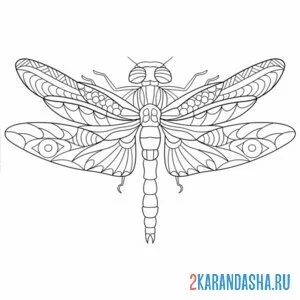 Раскраска стрекоза крылья узоры онлайн