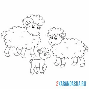 Распечатать раскраску семья баран, овца и барашек на А4
