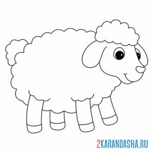 Распечатать раскраску кудрявая овечка на А4