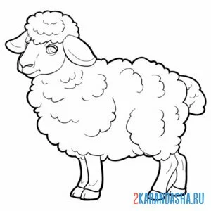 Распечатать раскраску овца настоящая на А4