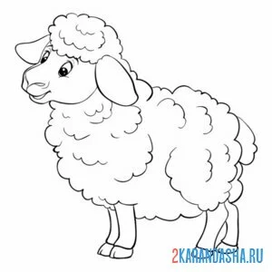 Распечатать раскраску овечка одна на А4