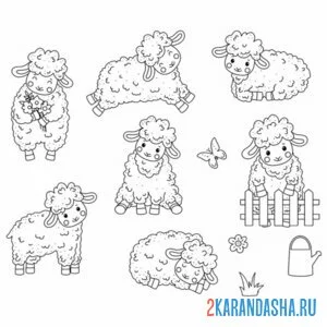 Распечатать раскраску разные овечки на А4