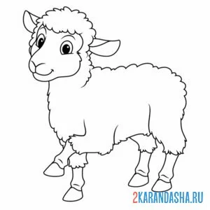 Распечатать раскраску молодая овца на А4