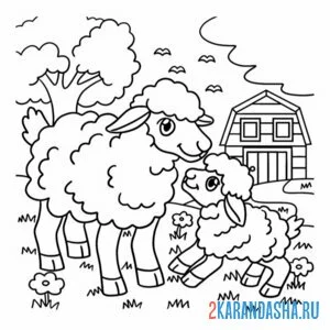 Распечатать раскраску мама овца и овечка на А4