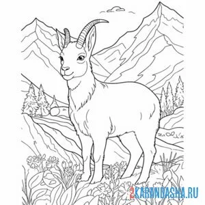 Распечатать раскраску горный козел в горах на А4