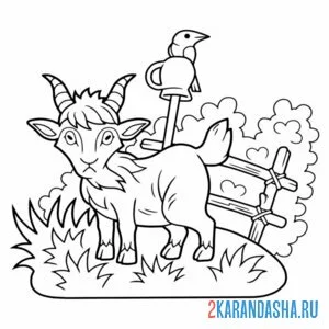 Раскраска козел в деревне онлайн