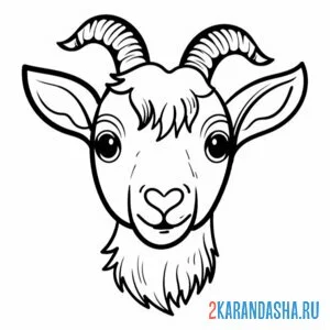 Раскраска коза голова онлайн