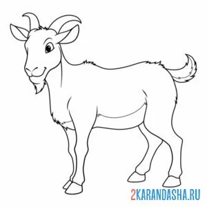 Раскраска красивый козел онлайн