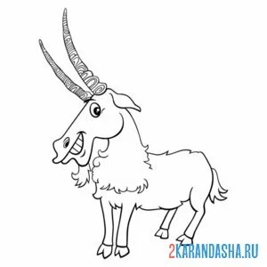 Раскраска горный козел с длинными рогами онлайн