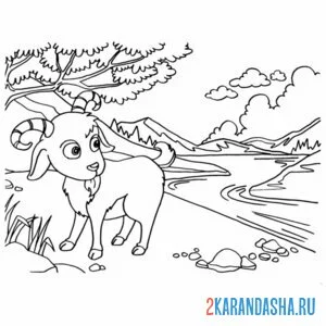 Раскраска козел у реки онлайн
